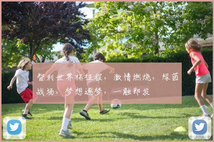 智利世界杯征程，激情燃烧，绿茵战场，梦想逐梦，一触即发