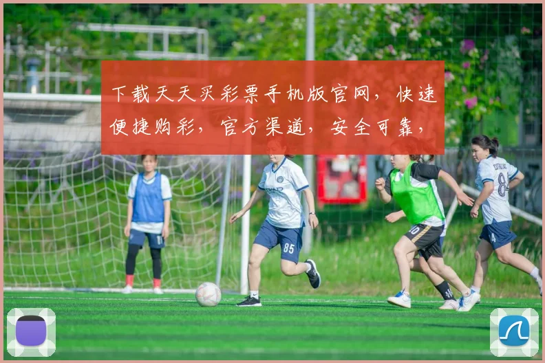 下载天天买彩票手机版官网，快速便捷购彩，官方渠道，安全可靠，三重保障，轻松中奖